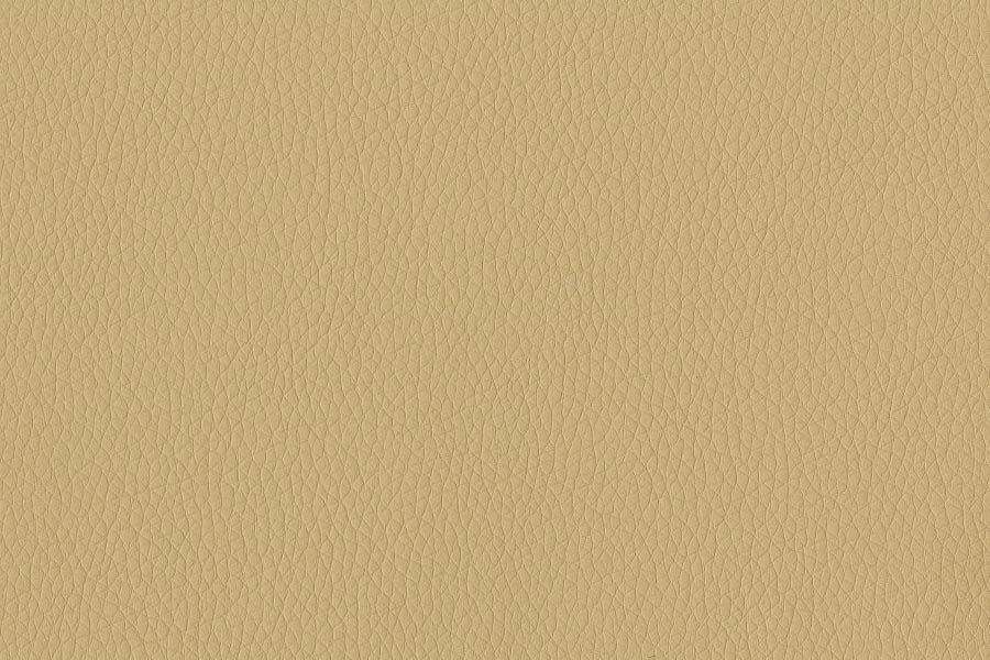 Dillon PVC Free Coated Fabric