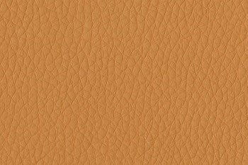 Dillon PVC Free Coated Fabric
