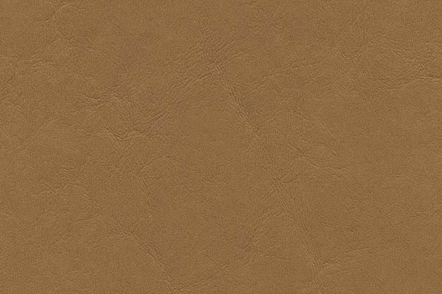 Grand Vista Automotive Vinyl