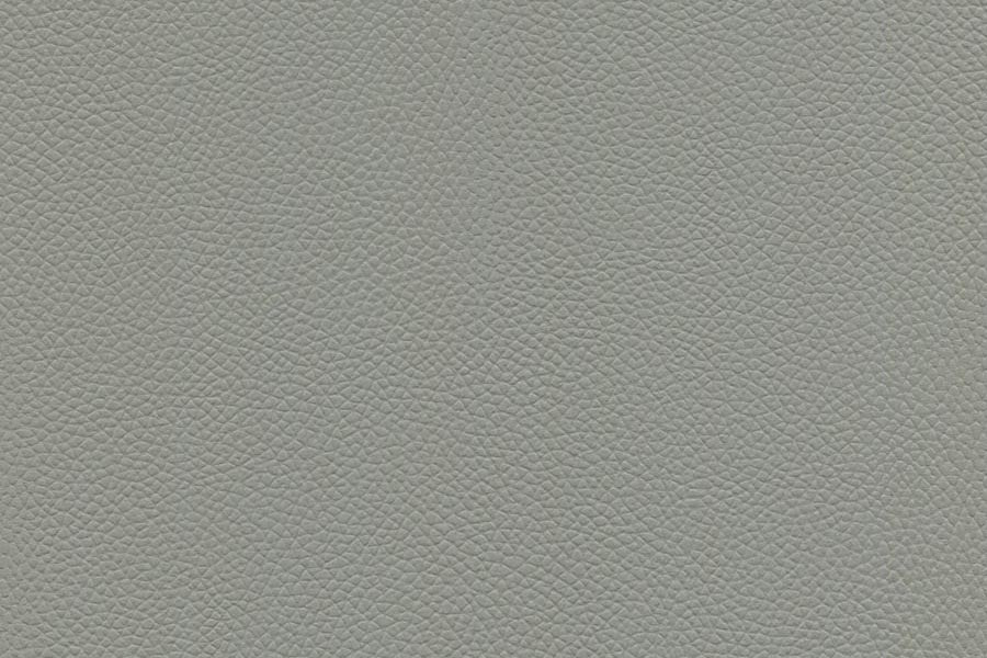 Longitude Automotive Vinyl