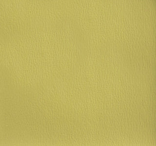 Olympus Contract-Grade Vinyl 54"