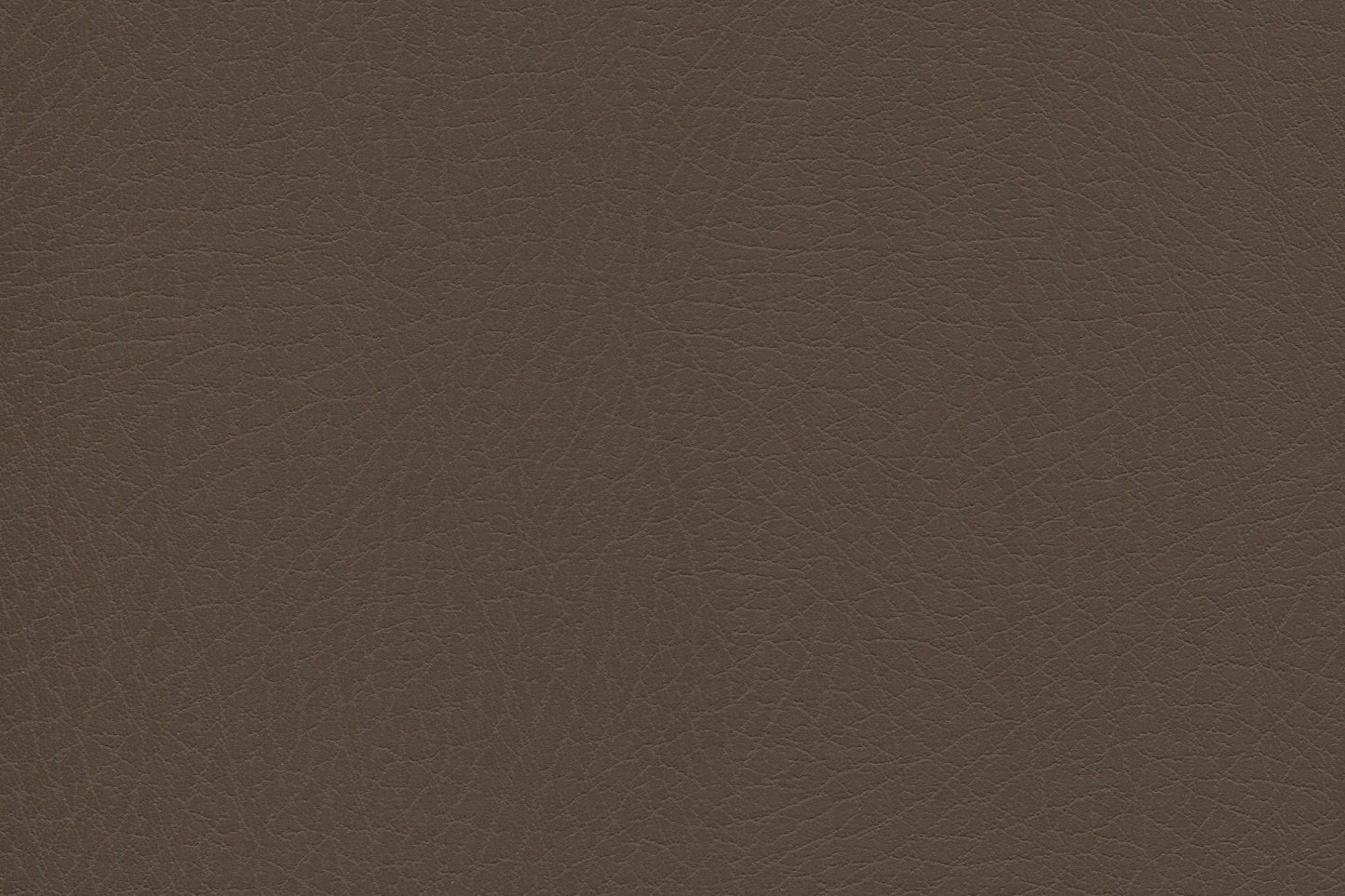 Vaquero Automotive Vinyl