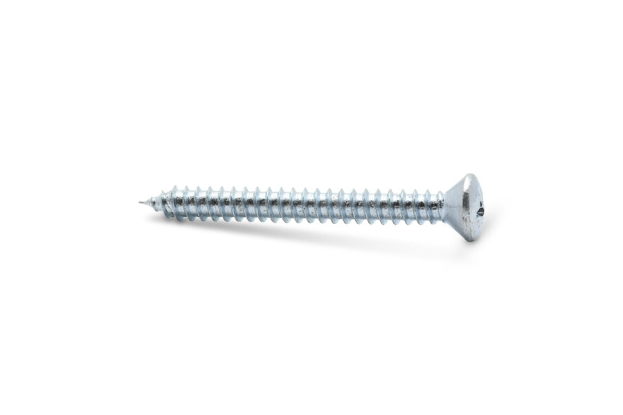 Philips Oval Head Sheet Metal Tapping Screw