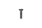 Phillips Oval Head Tapping Screw